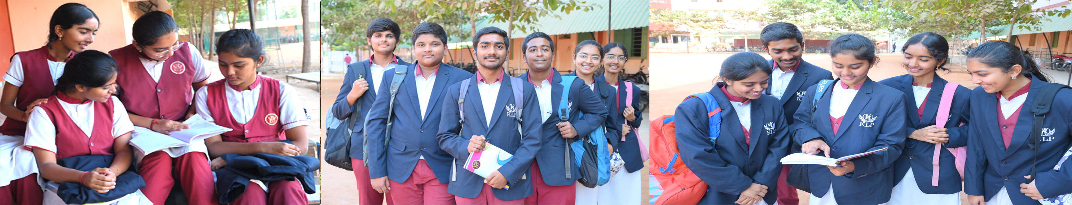 The School